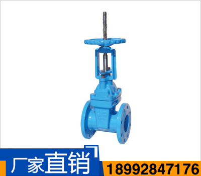 Z41X（RRHX）明桿彈性座封閘閥