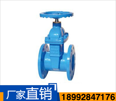 德標(biāo)F4暗桿彈性座封閘閥