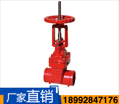 Z81X溝槽式明桿軟密封閘閥